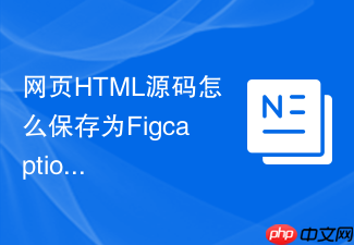网页html源码怎么保存为figcaption标签?图题保存技巧