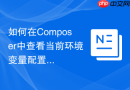 如何在composer中查看当前环境变量配置