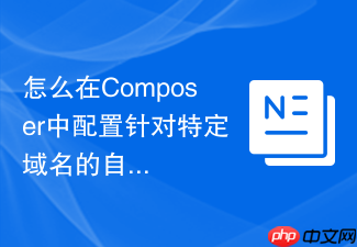怎么在composer中配置针对特定域名的自定义中文镜像?