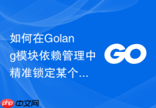 如何在Golang模块依赖管理中精准锁定某个特定版本的Commit
