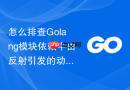 怎么排查Golang模块依赖中由反射引发的动态加载失败