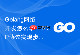 golang网络开发怎么学?tcp协议实现步骤介绍