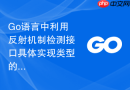 Go语言中利用反射机制检测接口具体实现类型的安全实践