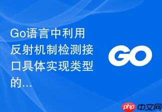 go语言中利用反射机制检测接口具体实现类型的安全实践