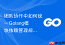 团队协作中如何统一golang模块依赖管理规范
