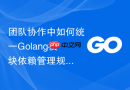 团队协作中如何统一Golang模块依赖管理规范
