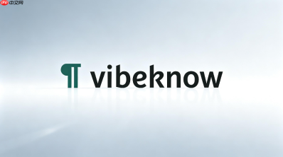 VibeKnow安卓端怎么充值？Android用户充值入口介绍