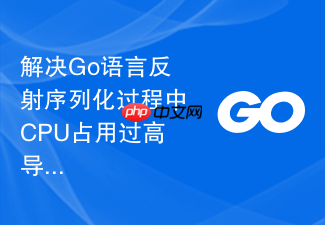 解决go语言反射序列化过程中cpu占用过高导致性能下降的办法