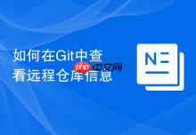 如何在Git中查看远程仓库信息