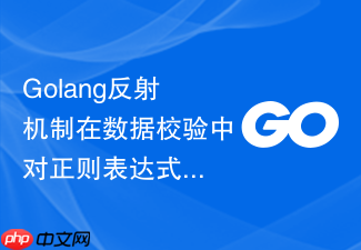 golang反射机制在数据校验中对正则表达式的动态匹配