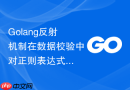 golang反射机制在数据校验中对正则表达式的动态匹配