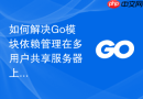 如何解决Go模块依赖管理在多用户共享服务器上的权限冲突