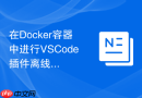 在Docker容器中进行VSCode插件离线安装