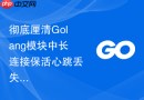 彻底厘清Golang模块中长连接保活心跳丢失导致的运行期数据丢失问题