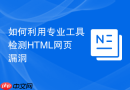 如何利用专业工具检测html网页漏洞