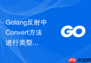 Golang反射中Convert方法进行类型转换的限制条件