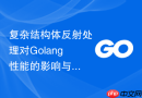复杂结构体反射处理对Golang性能的影响与控制