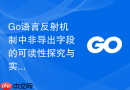 Go语言反射机制中非导出字段的可读性探究与实现