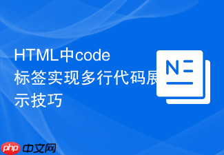 html中code标签实现多行代码展示技巧