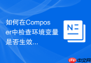 如何在composer中检查环境变量是否生效