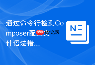 通过命令行检测composer配置文件语法错误的方法