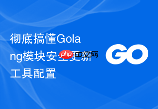 彻底搞懂golang模块安全更新工具配置