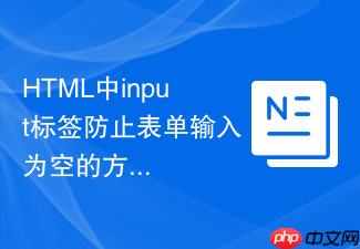 html中input标签防止表单输入为空的方法