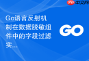 Go语言反射机制在数据脱敏组件中的字段过滤实现