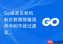 go语言反射机制在数据脱敏组件中的字段过滤实现