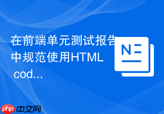 在前端单元测试报告中规范使用html code标签的教程