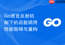 Go语言反射机制下的函数调用性能阻碍与重构