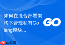 如何在混合部署架构下管理私有golang模块