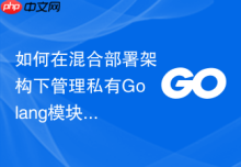 如何在混合部署架构下管理私有Golang模块