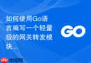 如何使用Go语言编写一个轻量级的网关转发模块
