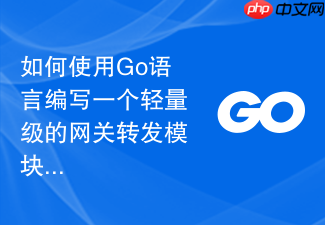 如何使用go语言编写一个轻量级的网关转发模块
