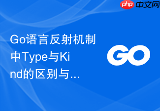 go语言反射机制中type与kind的区别与使用场景