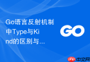 Go语言反射机制中Type与Kind的区别与使用场景