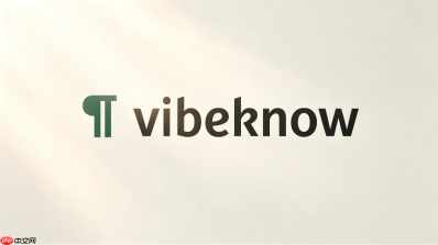 VibeKnow网页版直达链接 VibeKnow网页版使用入口