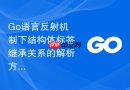 go语言反射机制下结构体标签继承关系的解析方法