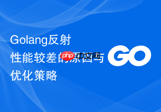 golang反射性能较差的原因与优化策略