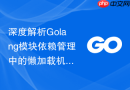 深度解析Golang模块依赖管理中的懒加载机制