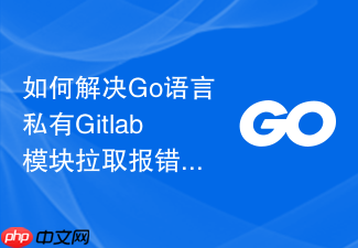 如何解决go语言私有gitlab模块拉取报错