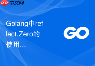 golang中reflect.zero的使用场景与结构体初始化