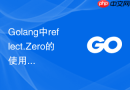 Golang中reflect.Zero的使用场景与结构体初始化