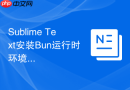 Sublime Text安装Bun运行时环境实现极速JS脚本执行