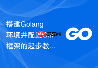 搭建golang环境并配置gin框架的起步教程