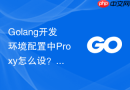 Golang开发环境配置中Proxy怎么设？国内镜像加速配置教程