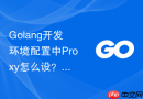 golang开发环境配置中proxy怎么设?国内镜像加速配置教程
