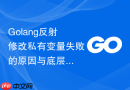Golang反射修改私有变量失败的原因与底层限制