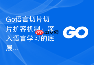 go语言切片切片扩容机制:深入语言学习的底层内存管理
